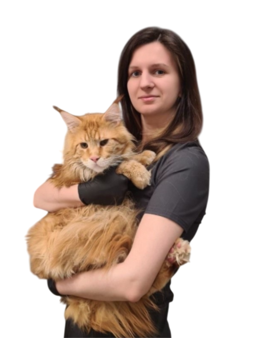 Портрет человека